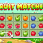 Fruit Matcher