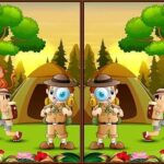 Spot 5 Differences Camping