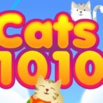 Cats 1010