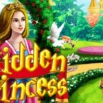 Hidden Princess