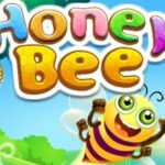 Honey Bee