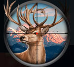 Wild Hunt Hunting Games 3D